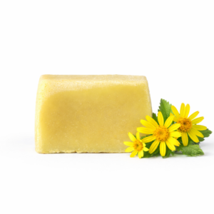 Arnica