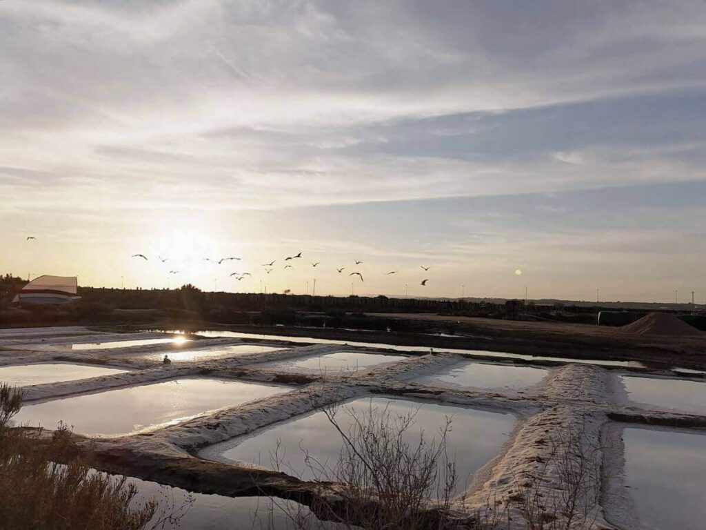 Biomaris - Salinas del Alemán