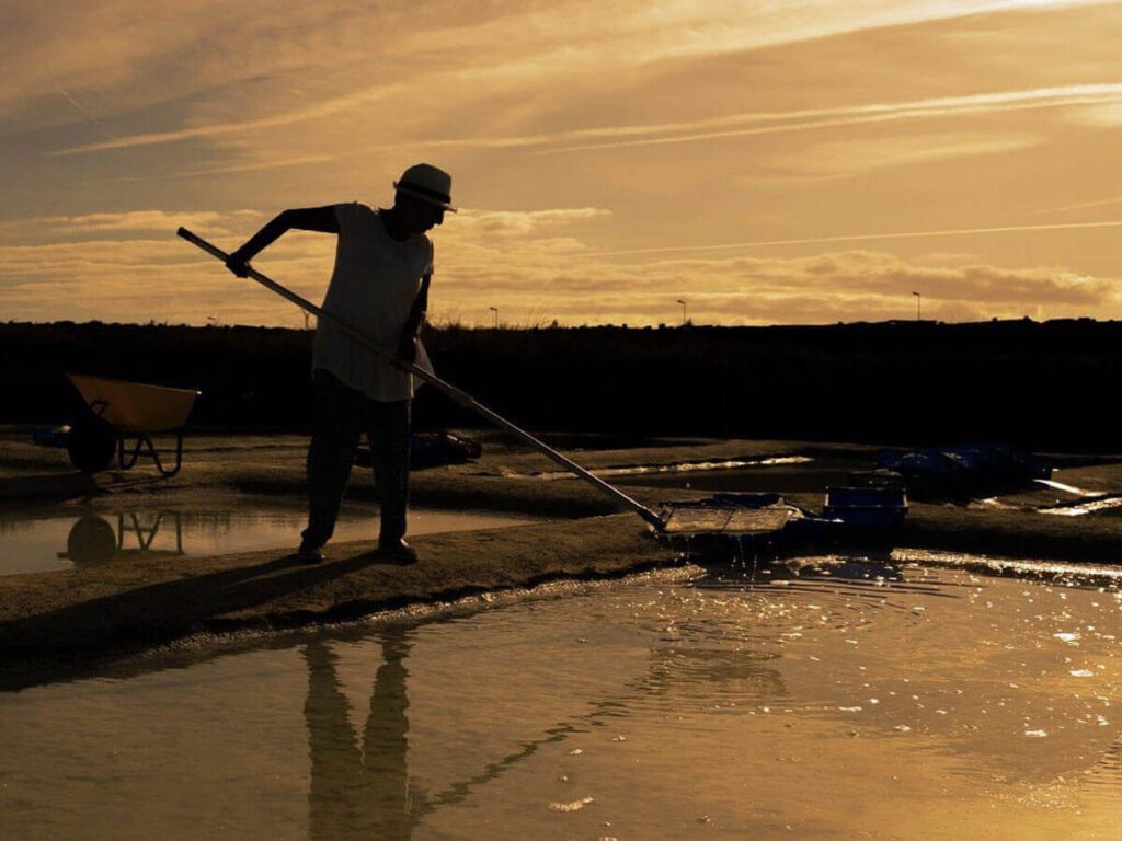 Recolección de Sal al atardecer en Salinas del Alemán