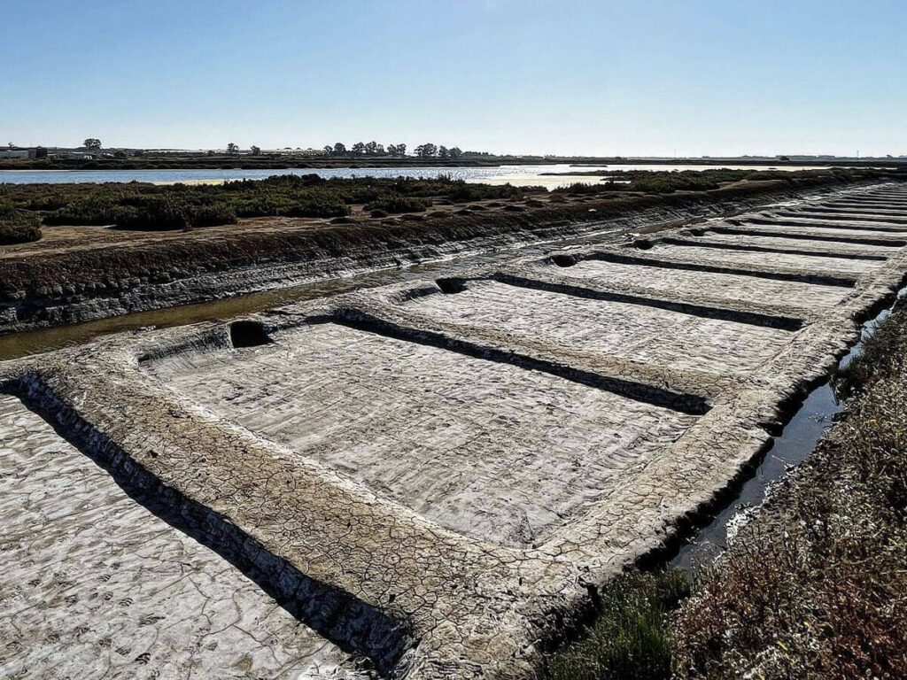 Biomaris - Salinas del Alemán