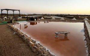 Biomaris - Salinas del Alemán