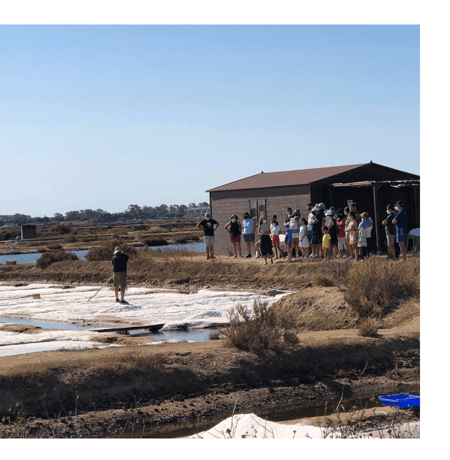 Visita guiada - Salinas del Alemán
