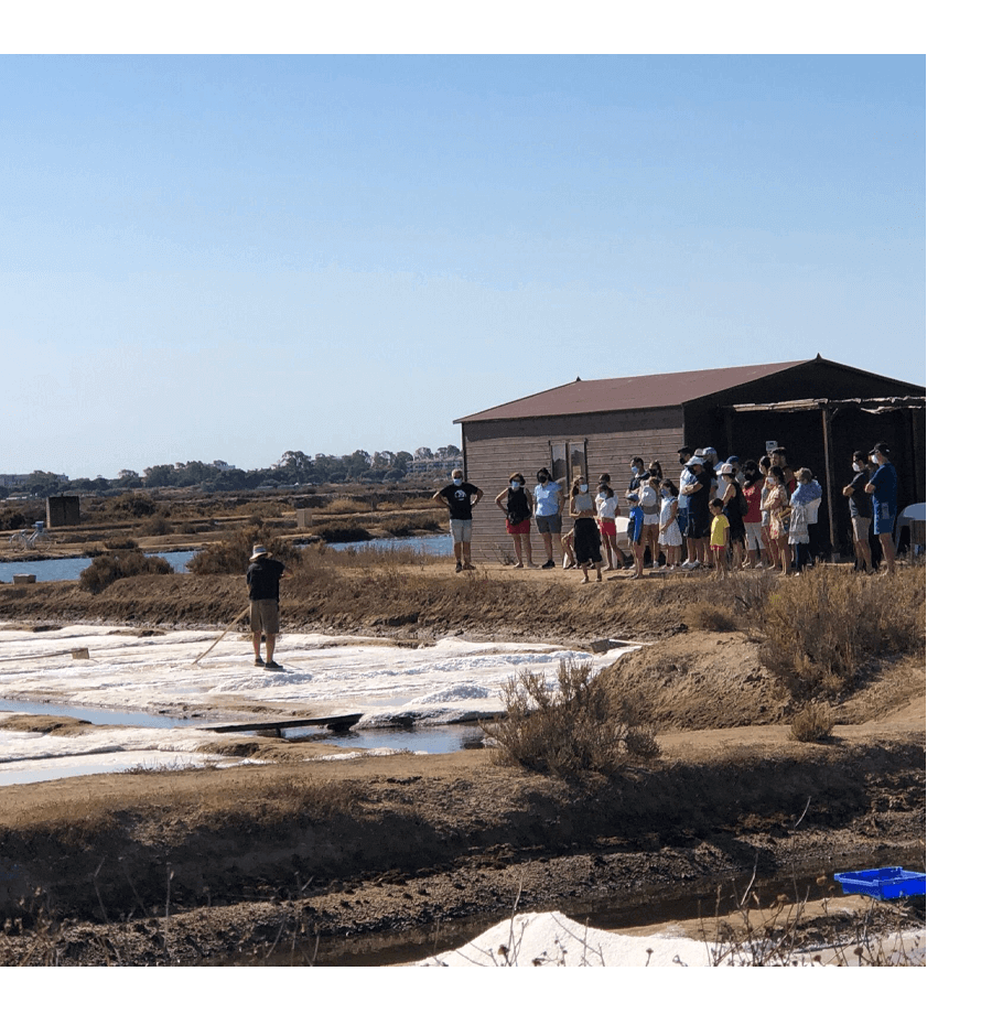 Biomaris - Salinas del Alemán